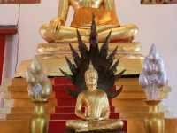 ไหว้พระที่วัดหนองกะพ้อ