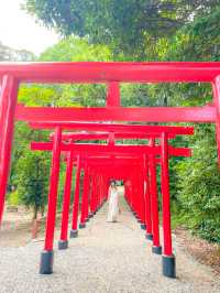 【三重県 鈴鹿】季節の手花水🌸がキレイなオススメ神社⛩