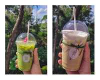 คาเฟ่น่ารัก บรรยากาศฟาร์มสเตย์@ระนอง