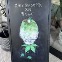 【名古屋】お花屋さんのカフェ💐ARTISAN flowers💐