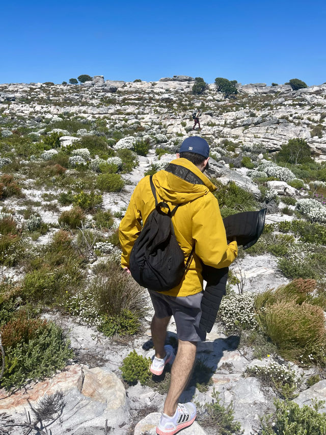 🥾 Hike the Trails of Cape of Good Hope National Park 🌍
