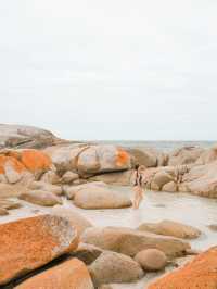 📍Bay of Fires