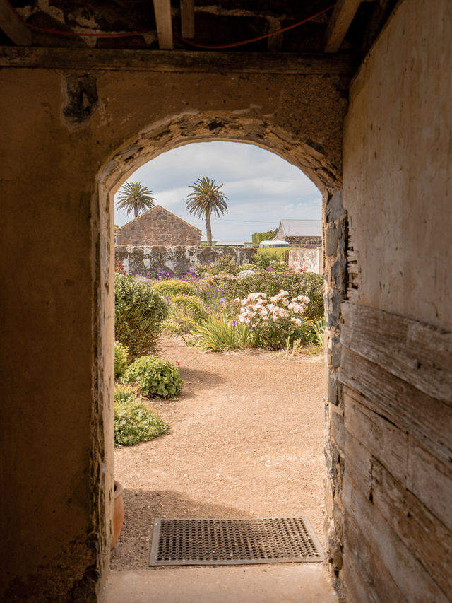 📍Highfield Lookout and Highfield Historic Site