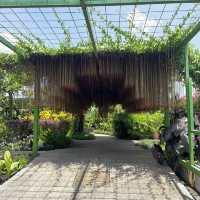 🇲🇾Secret Garden 1 Utama: A Green Paradise Above the City