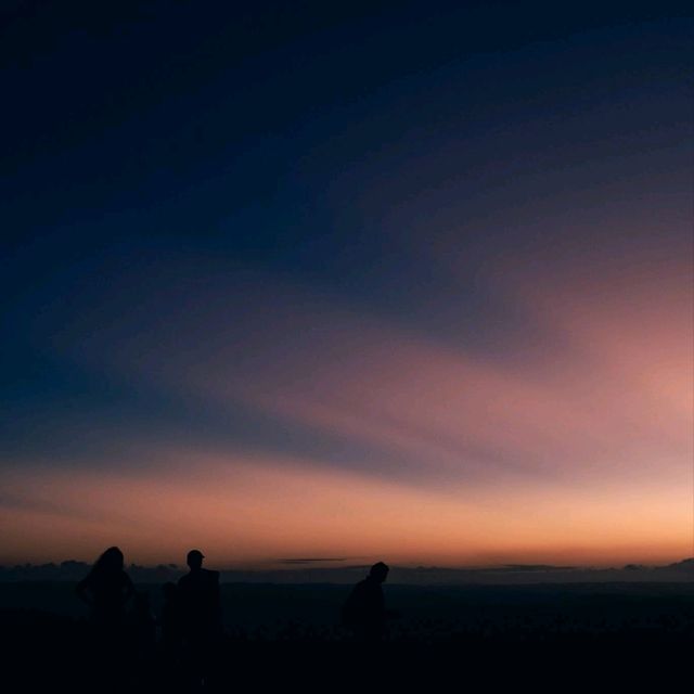 【スンバ島】人生で1番の絶景に出会えました