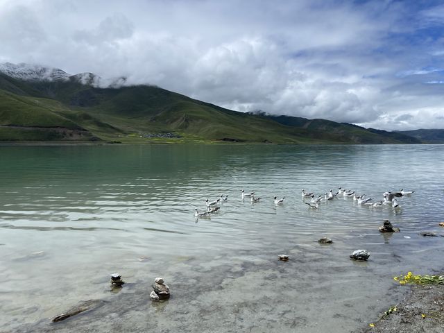 西藏聖湖～羊卓雍措