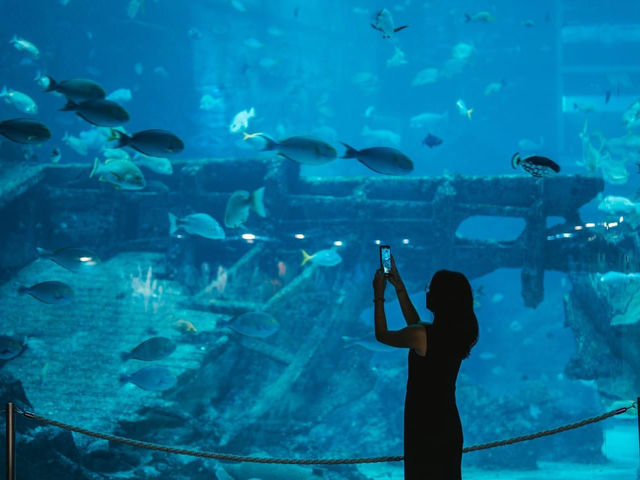 S.E.A. Aquarium 