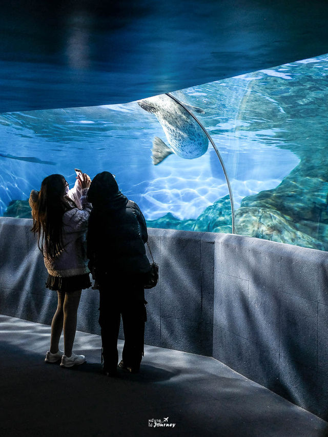พาชมโลกใต้น้ำที่ Shanghai Ocean Aquarium 🇨🇳