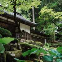 孔大寺神社 ⛩️ 平靜祥和