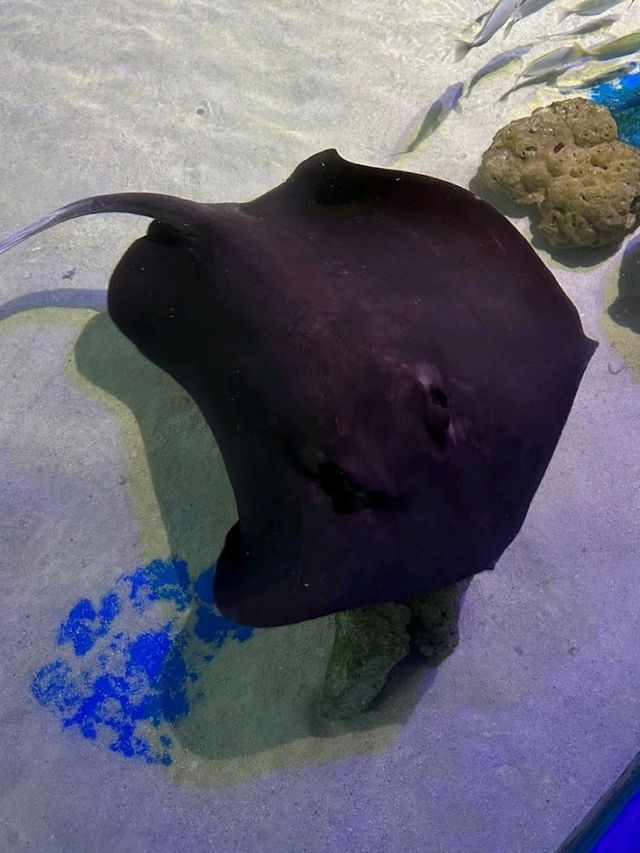 Underwater World Langkawi