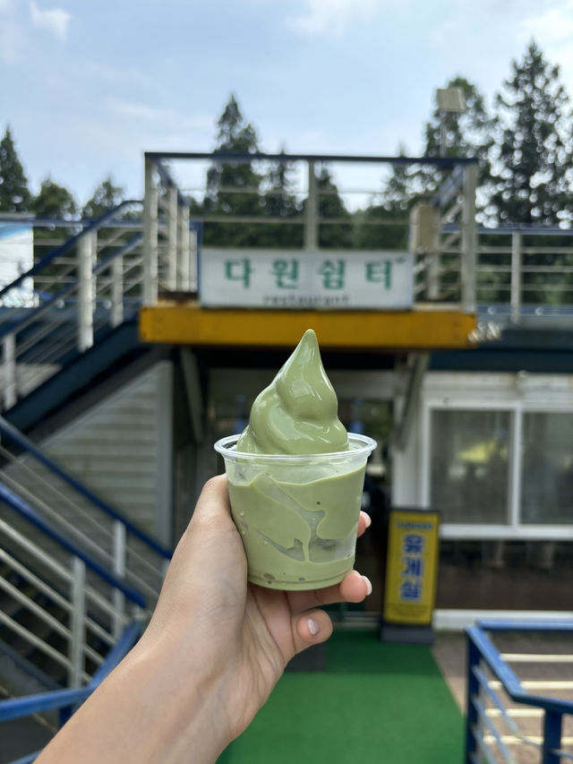 드넓은 녹차밭과 맛있는 아이스크림이 있는 데이트💚