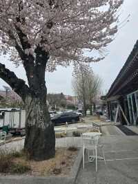 ૮꒰ྀི ੭˶ᵔ ᵕ ᵔ ꒱ྀི੭ 경주 황리단길 카페 내류사
