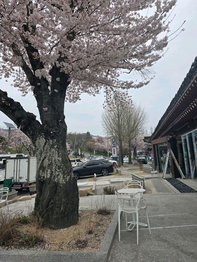 ૮꒰ྀི ੭˶ᵔ ᵕ ᵔ ꒱ྀི੭ 경주 황리단길 카페 내류사
