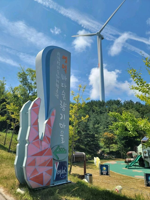 예쁜 포토존과 동해바다 직관하는 영덕여행지💙