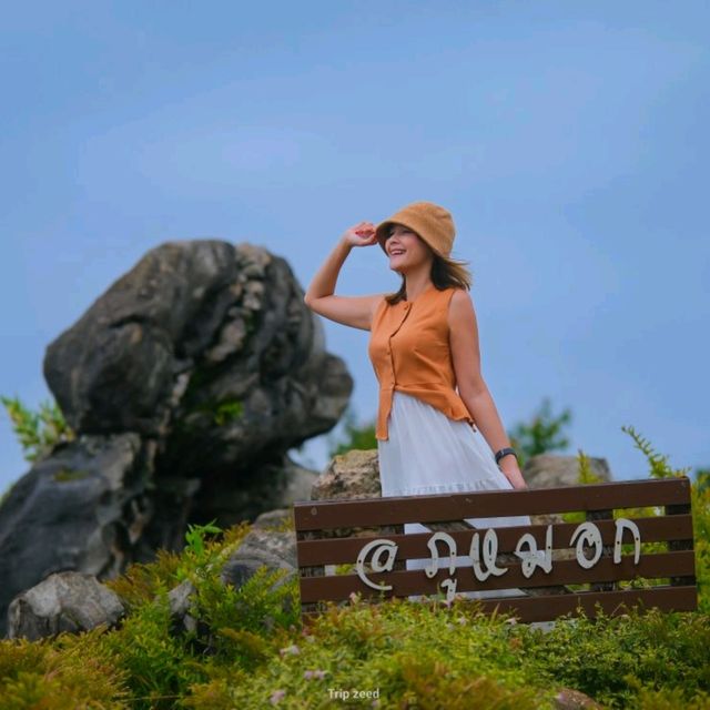 ที่พักบนม่อนแจ่ม ชมวิวทะเลหมอก 