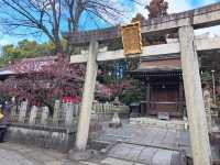 【城南宮:京都市伏見区】2月に咲く美しい梅に感動する✨