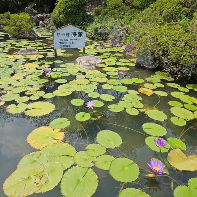 海地獄