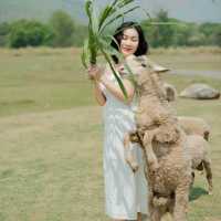 ห้วยตึงเฒ่า