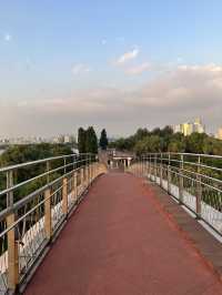 🇰🇷 首爾No.1 漢江公園 這景色真的是排第1名🌳