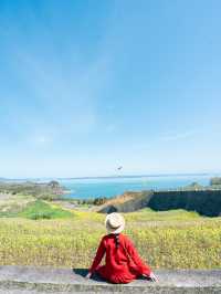 【香川】豊島でアート巡り