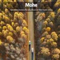Autumn in Mohe 🍂