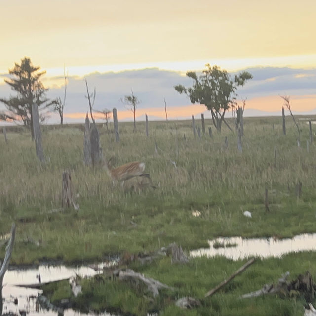 春国岱の夕焼け