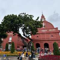 M.A.L.A.C.C.A: Marvelous Adventures, Lively Attractions, Captivating Culture Await