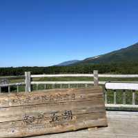 自然の大地、知床