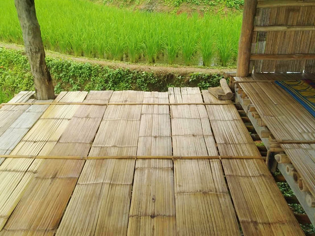 บ้านพักแฮเก นาขั้นบันไดป่าบงเปียง