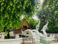 Wat Chiang Man วัดเชียงมั่น