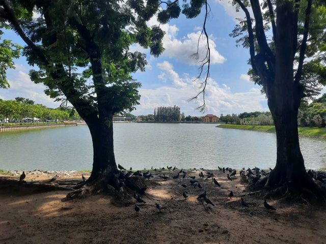 【烏隆他尼城市國家公園】網紅📸小黃鴨廣場，絕美湖泊