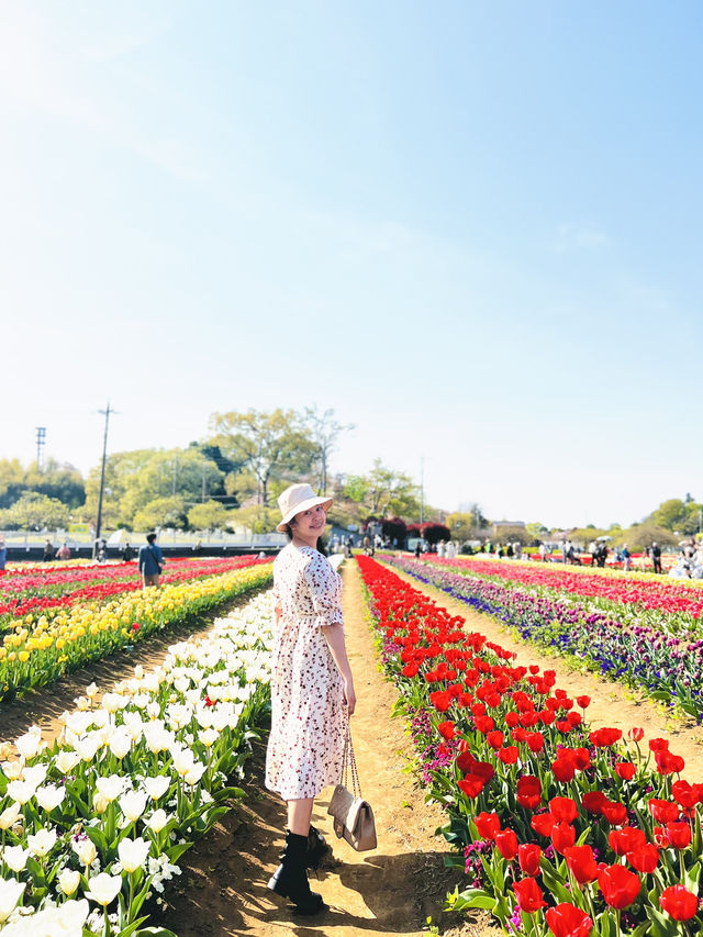 Akebonoyama Park 
