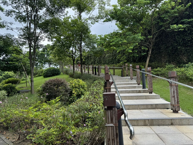 賞花@荔枝角公園
