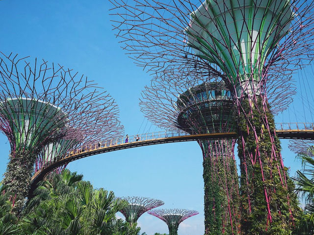 Gardens by the Bay