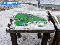 紐西蘭南島-公路旅行遇到雪：Crown Range Summit