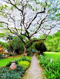 Exploring Nature at Penang Youth Park