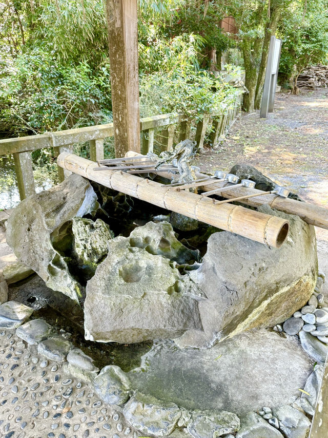 【長崎県】縁結びにご利益ある夫婦クスノキあり