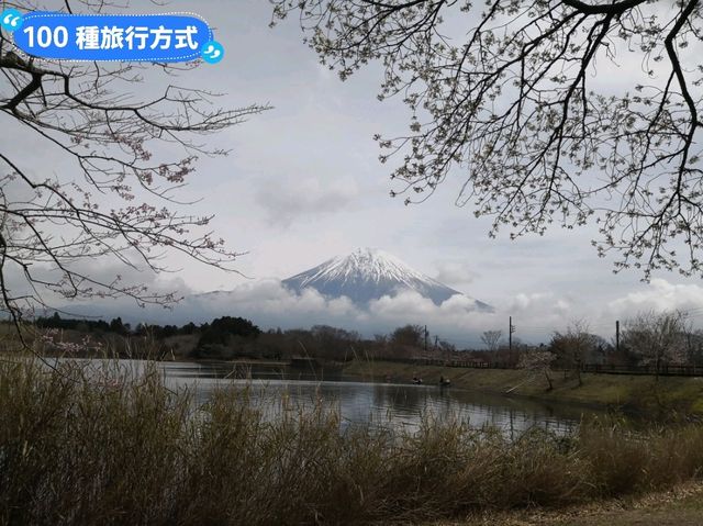 在富士山腳下露營：田貫湖露營場&休暇村富士