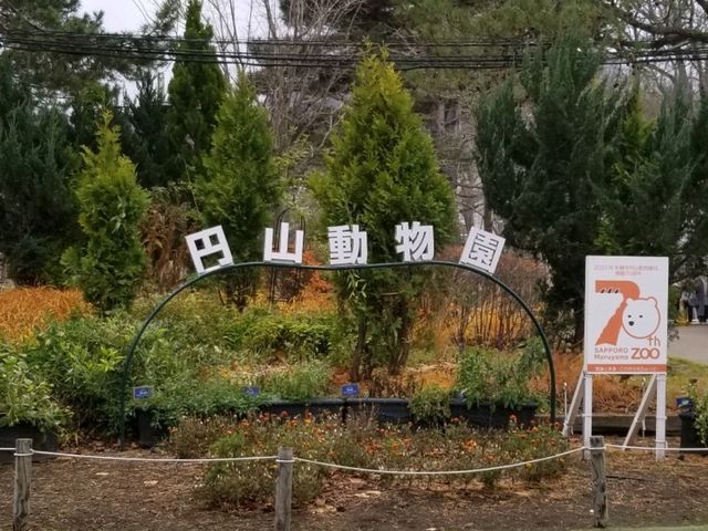 【北海道】札幌市内から近い！円山動物園の写真映えの動物たち