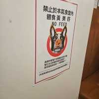輕輕鬆鬆屏東墾丁四日三夜之旅