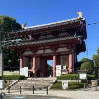 【大阪/天王寺】都会にある大きなお寺👀