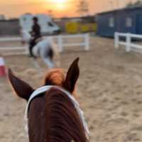 Dubai Delights: Uncovering the Emirates' Gems
