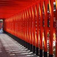 名古屋必去 三光稻荷神社穿越紅色鳥居之旅