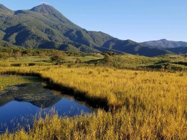 【北海道】世界自然遺産の知床の事を知っとこう！！