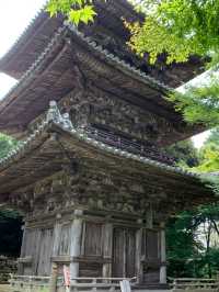 【滋賀】お城巡り
