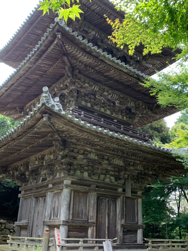 【滋賀】お城巡り