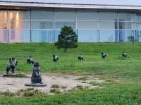山陰這樣玩 從鳥取到出雲形成分享