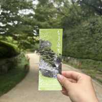 名古屋とは思えない？！緑豊かな白鳥庭園🌳