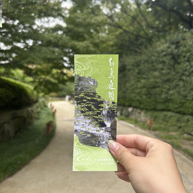 名古屋とは思えない？！緑豊かな白鳥庭園🌳