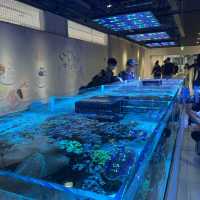 Osaka Aquarium Kaiyukan 🐠🩵
